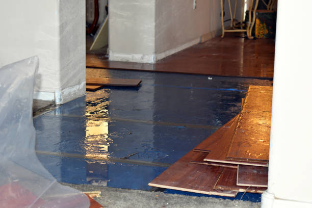Professional Flood Cleanup technician working in Morrisonville, NY